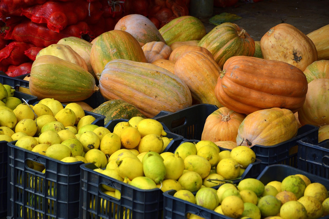 Crates piled with rescued lemons and squash