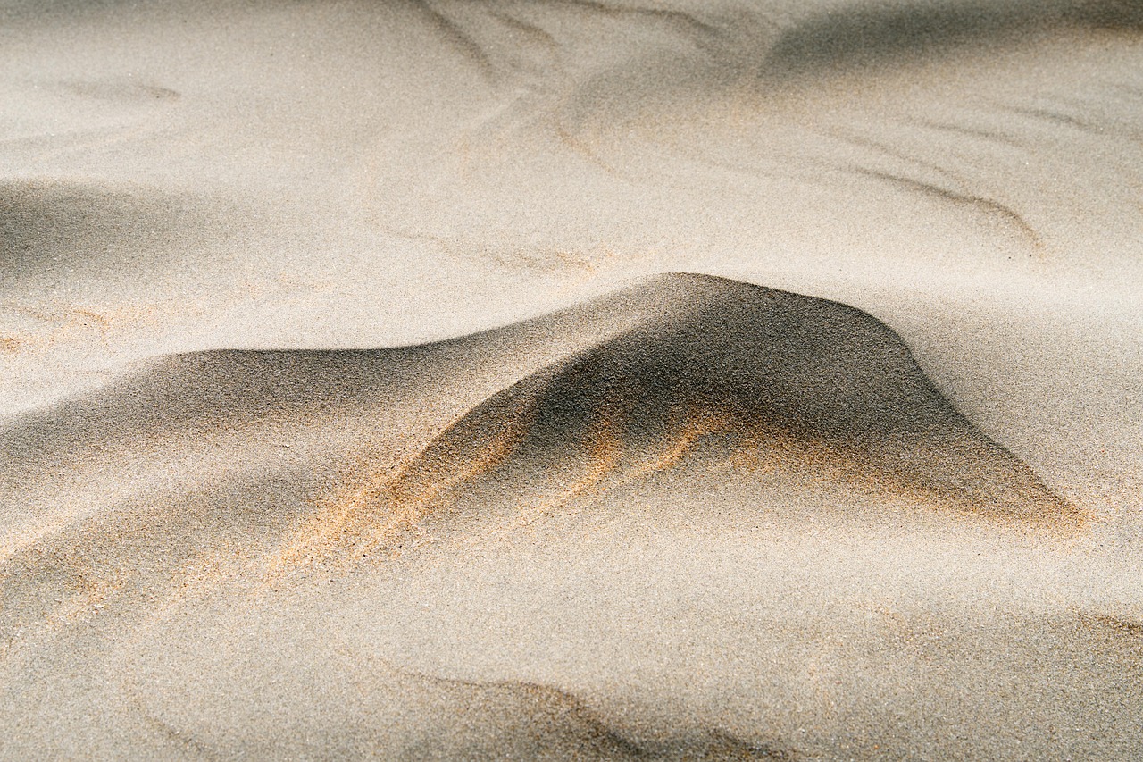 Wind-rippled sand in soft warm light